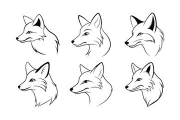 Red Fox (Vulpes vulpes) animal design, labeled line art vector art illustration.