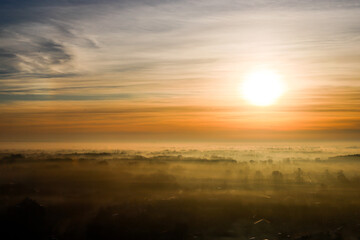 the sun rises over the misty forest, the sounds of the trees peek through the haze