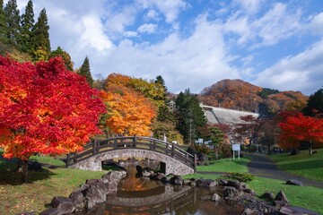紅葉のある風景