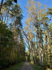 Obraz premium Sonntagsspaziergang