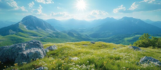 Sunny mountain meadow landscape with wildflowers and rocks.