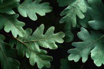 A detailed view of a plant with lush green leaves