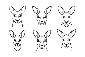 Red Kangaroo (Macropus rufus) animal design, labeled line art vector art illustration.