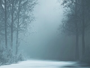 Obraz premium Serene Solitude on a Foggy Path Through the Woods