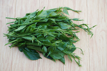 Fresh green organic herbal Gurmar vegetable or Gymnema inodorum. Concept, Thai herbal vegetable, eaten as vegetables or cooking for helping lower blood sugar levels.            