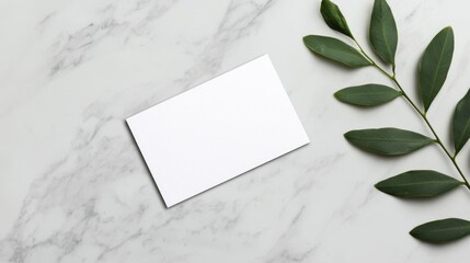 A simple white card lies on a marble surface, accompanied by a green leaf branch, creating a minimalist and elegant composition.