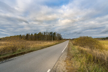 A road with a few trees in the background and a few birds flying in the sky