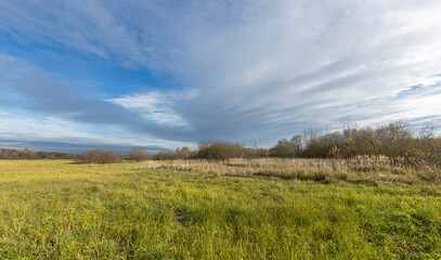 Obraz premium A field of grass with a cloudy sky in the background