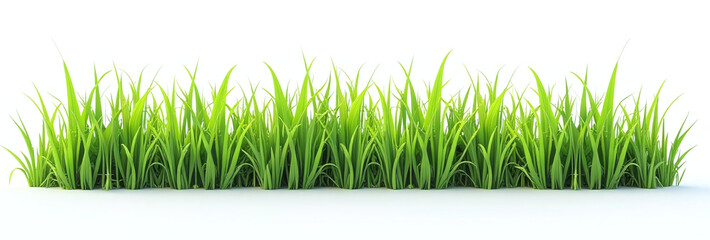 isolated grass white surfaces collected aesthetic purposes various artistic