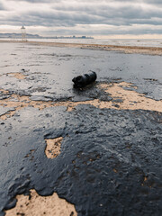 Oil on Black sea coastline after a tanker wreck. The beach is polluted with fuel oil