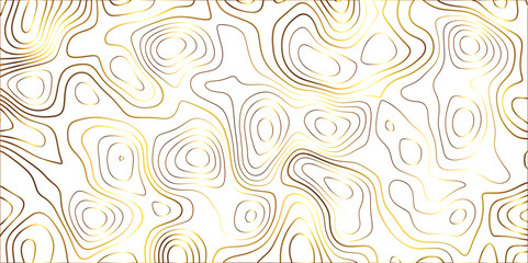 Obraz premium Lines Topographic contour lines vector map seamless pattern. Geographic mountain relief diagram line wave carve . Topo contour map design .Vector illustration, contour lines vector mapseamless pattern