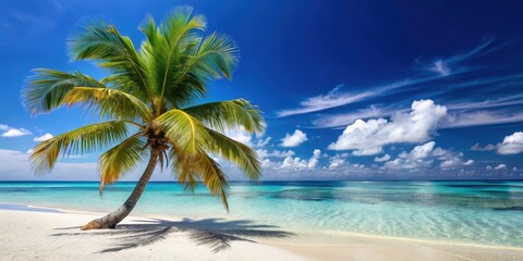 Obraz premium Palm Tree on White Sand Beach with Crystal Clear Waters and Swaying Ocean Breeze, beach, sand, beach, sand