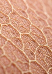 a close up macro image of human skin texture