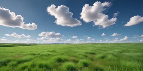 Fototapeta premium Soft focus on a vast expanse of green grass against a clear blue sky with scattered white clouds , blade of grass, atmospheric perspective, natural light