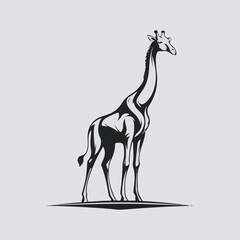 giraffe vector illustration