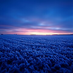 Fototapeta premium Frozen Field Sunrise