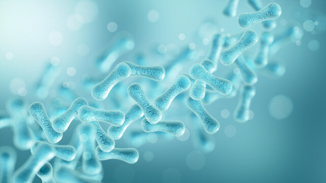 Probiotic bacteria, Lactobacillus , 3d illustration.