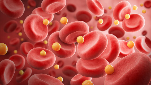 blood cell with cholesterol, 3d illustration.