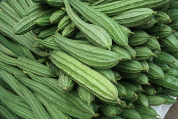 ridge gourd vegetable on the background
