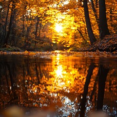 Naklejka premium Golden Autumn Sunset Reflecting on Calm