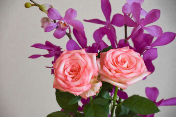 薔薇とアランダ