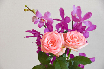 薔薇とアランダ