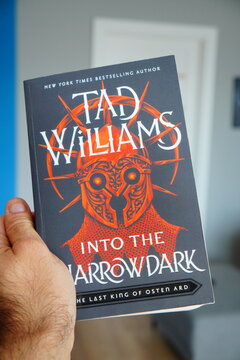 Tad Williams Into The Narrowdark book from the Last King of Osten Ard series