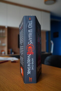 Tad Williams Into The Narrowdark book from the Last King of Osten Ard series