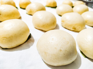 chinese steamed buns