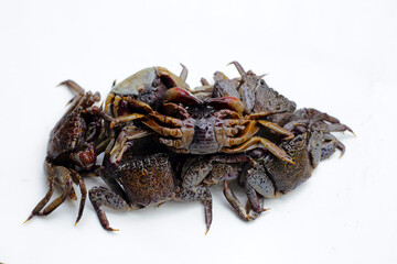 Preserved crabs for ingredient thai food