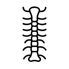 spine icon design