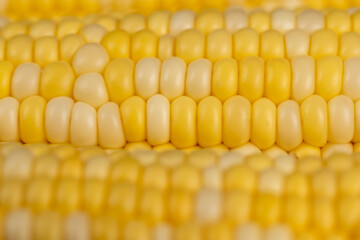 peeled corn cob with yellow and white seeds of different sizes and shades
