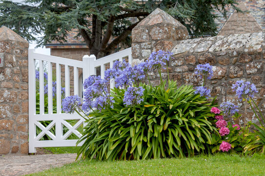 Granitsteinmauer mit wei&szlig;er Gartenpforte und Schmucklilien