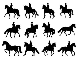 HORSE DRESSAGE SILHOUETTE ON WHITE BACKGROUND