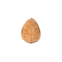 walnut from top