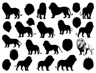 LIONS SILHOUETTE ON WHITE BACKGROUND