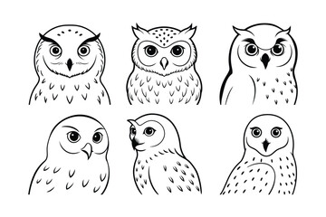 Snowy Owl (Bubo scandiacus) animal design, labeled line art vector art illustration.