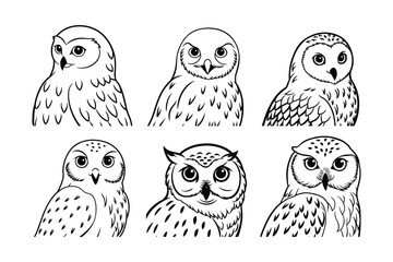 Snowy Owl (Bubo scandiacus) animal design, labeled line art vector art illustration.