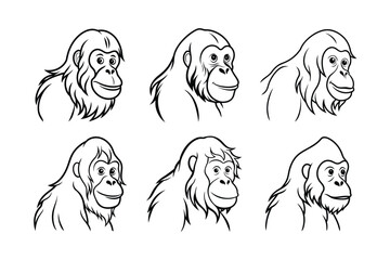 Sumatran Orangutan (Pongo abelii) animal design, labeled line art vector art illustration.