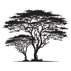 Obraz premium Acacia Tree Silhouette - Nature-Inspired Wall Art Printable - Acacia Tree Vector - Acacia Tree Illustration - Minimalist Acacia Silhouette - Acacia Vector - Acacia Digital Art 