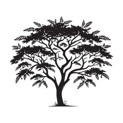 Acacia Tree Silhouette - Simple Yet Bold Nature Icon - Acacia Tree Vector - Acacia Tree Illustration - Minimalist Acacia Silhouette - Acacia Vector - Acacia Digital Art
