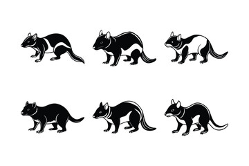 Tasmanian Devil (Sarcophilus harrisii) animal design, labeled line art vector art illustration.