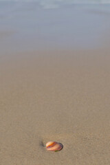 Landscape of Negev desert in Israel, Negev Desert in Israel at Sunset