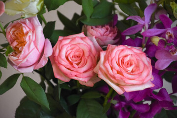 薔薇とアランダ