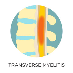 Vector Transverse Myelitis Icon