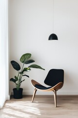 Modern minimalist room interior design with a chair and plant