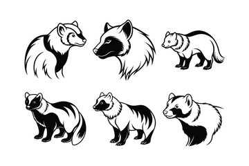 Wolverine (Gulo gulo) animal design, labeled line art vector art illustration.