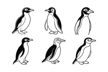 Yellow-Eyed Penguin (Megadyptes antipodes) animal design, labeled line art vector art illustration.