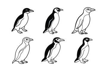 Naklejka premium Yellow-Eyed Penguin (Megadyptes antipodes) animal design, labeled line art vector art illustration.