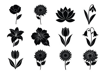 Flower silhouette set. Flowers bundle vector illustration on white background
